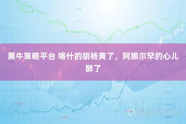 黑牛策略平台 喀什的胡杨黄了,阿娜尔罕的心儿醉了