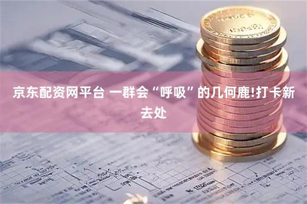 京东配资网平台 一群会“呼吸”的几何鹿!打卡新去处