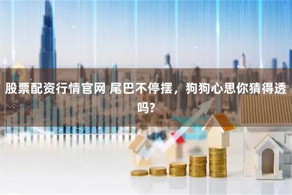 股票配资行情官网 尾巴不停摆，狗狗心思你猜得透吗?