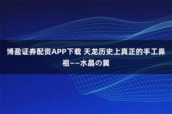博盈证券配资APP下载 天龙历史上真正的手工鼻祖——水晶の翼