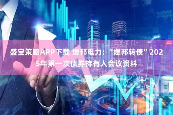 盛宝策略APP下载 煜邦电力: “煜邦转债”2025年第一次债券持有人会议资料